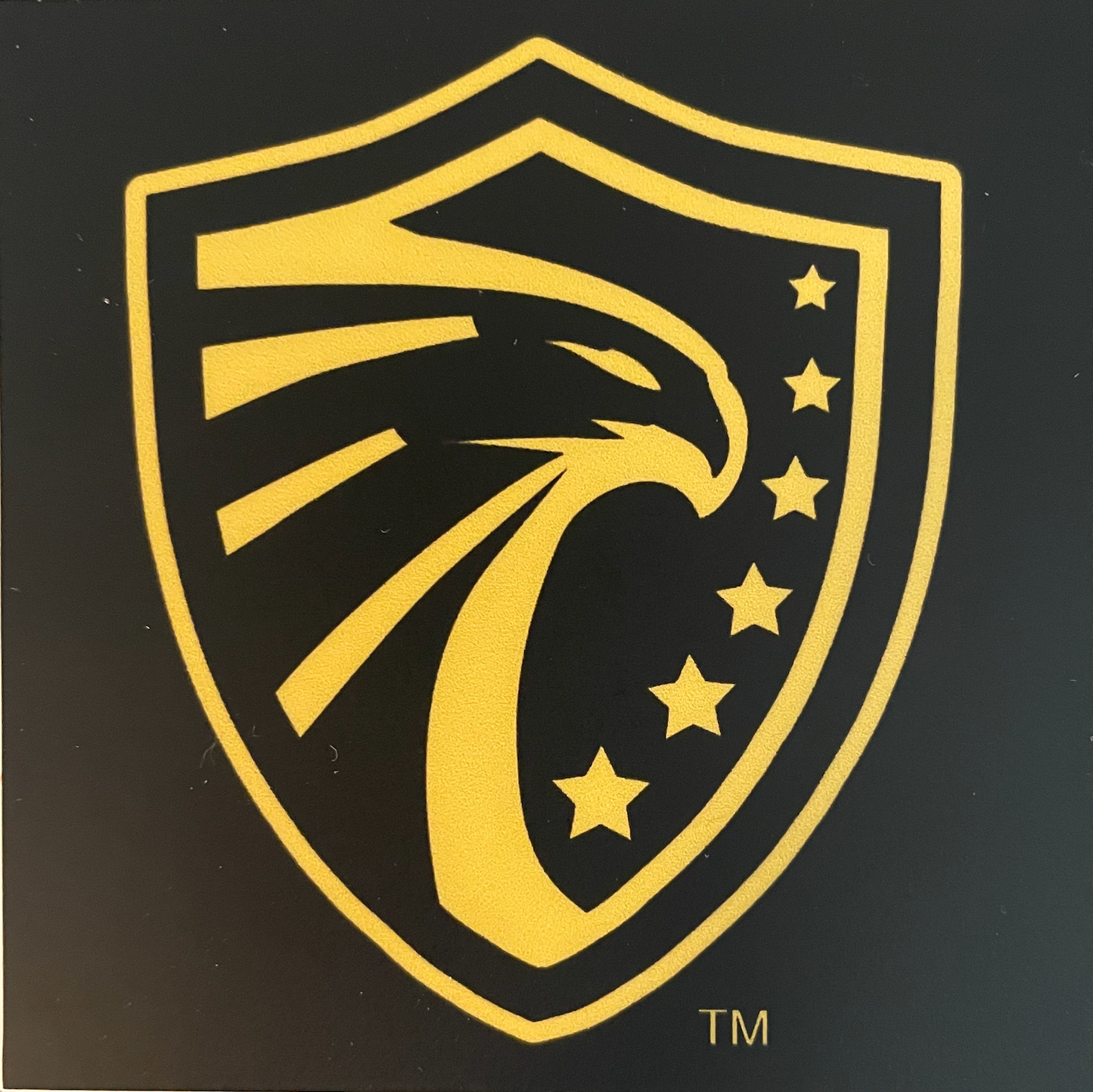 DG Shield Sticker 3x3